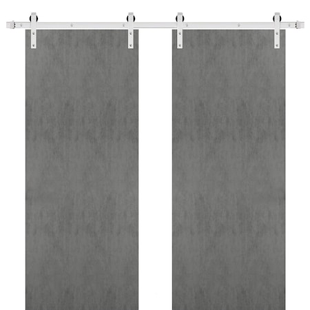 Sartodoors Double Barn Interior Door, 36" x 84", Concrete PLANUM0010DB-S-BTN-3684